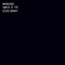 #03020C - Cod Gray Color Image